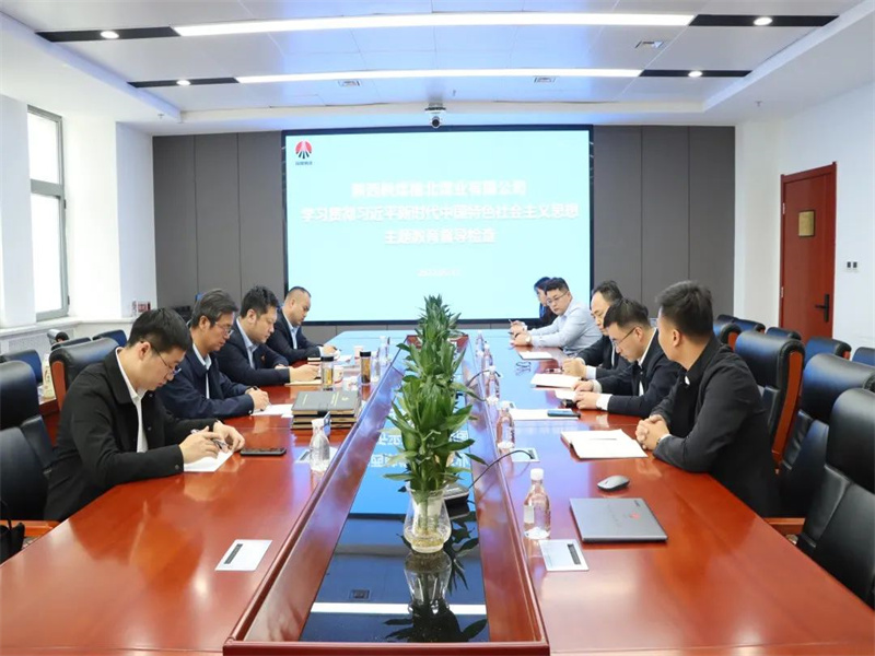 公司开展学习贯彻习近平新时代中国特色社会主义思想主题教育督导检查.jpg
