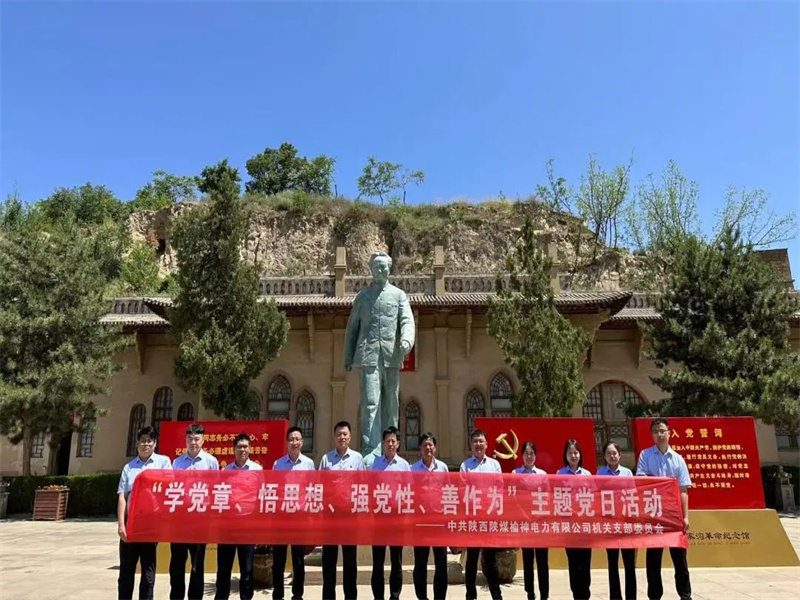 榆神电力公司开展“学党章、悟思想、强党性、善作为”主题党日活动.jpg