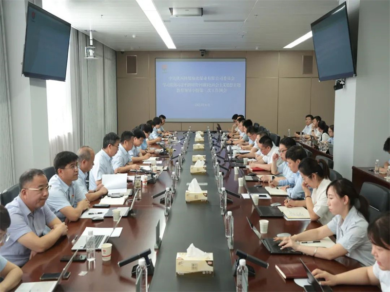 公司召开学习贯彻习近平新时代中国特色社会主义思想主题教育第三次工作例会.jpg