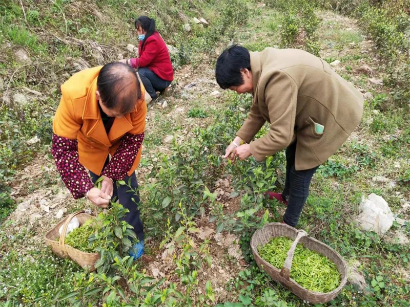 荣誉丨公司在2022年度省级定点帮扶考核中获多项荣誉（3）.jpg