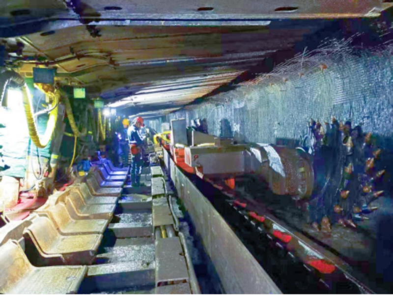 261761441035244214.png 1.png